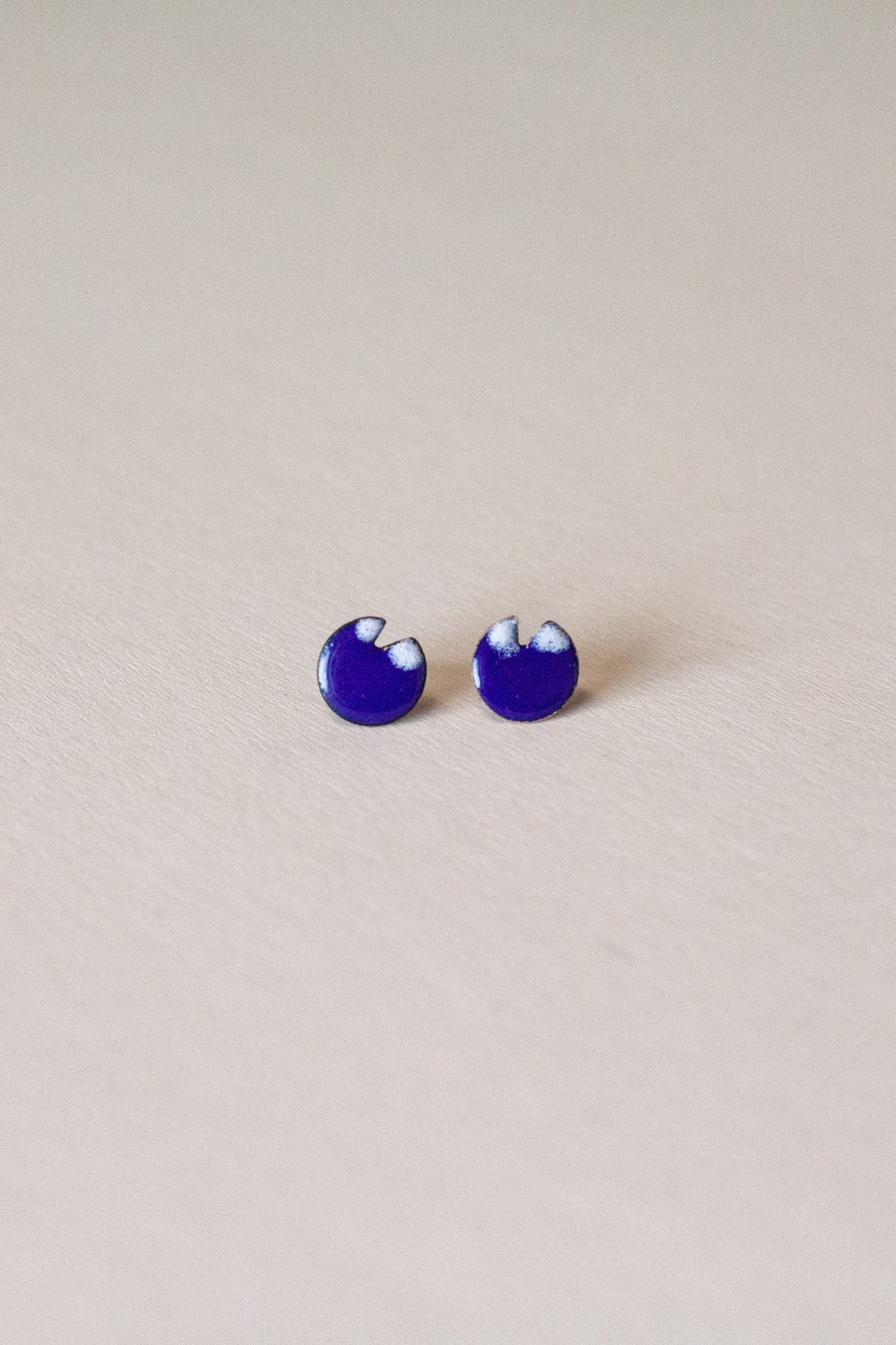 Mini puces_bleues